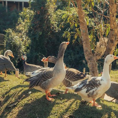 Hotel Chales Capitanias Águas de Lindóia Εξωτερικό φωτογραφία
